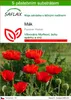 SAFLAX - mák - Papaver rhoeas - 27000 Semena - S pěstebním Náhled obrázku produktu 1