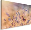 Fabelhafte Canvas LEINWAND BILDER 70x50 cm XXL Kunstdruck Produktbild-Vorschau 1