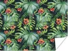 MuchoWow® Poster Monstera - Dschungel - Blätter 160x120 cm Produktbild-Vorschau 1