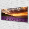 Acrylglasbilder 125x50 Wandbild Druck Gebirge Wiese Blumen Produktbild-Vorschau 2