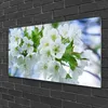 Acrylglasbilder 100x50 Wandbild Druck Blumen Blätter Produktbild-Vorschau 2