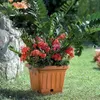 BAMA Vaso da fiori TERRA 30x30, terracotta Anteprima dell’immagine prodotto 4