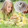 Kruger Meier ProLexor 60 - inkubator z termostatem na 60 Podgląd zdjęcia produktu 9
