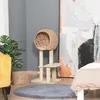 PawHut kattenboom, 100 cm, krabpaal met kattenhol, sisal, Productafbeelding-voorbeeld 2