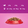 ‎Whiskas 5900951014345, Dospělý jedinec, Jakékoli plemeno, Náhled obrázku produktu 8