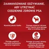 PURINA One Adult Medium/Maxi Sensitive, rijk aan zalm met Productafbeelding-voorbeeld 4
