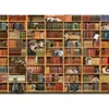 Cobble Hill The Cat Library, 1000 szt. Podgląd zdjęcia produktu 1