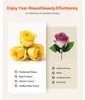 SucceBuy - 27 rose eterne in confezione a forma di cuore, Anteprima dell’immagine prodotto 4
