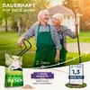 Rasensamen schnellkeimend 2,5kg = 75-100m² Sport und Spiel Produktbild-Vorschau 6