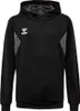 hmlAUTHENTIC PL HOODIE KIDS Produktbild-Vorschau 8