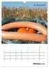 Ist mir Wurst Kalender (Wandkalender 2027 DIN A3 hoch), Produktbild-Vorschau 13