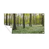 Gartenposter - 60x40 cm - Foto des Waldes im Frühjahr  - Produktbild-Vorschau 2