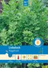 Artikelbild 1 von 'Liebstock Maggikraut' aus der Kategorie Liebstöckelsamen Produktbild-Vorschau