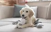 Kerbl Hund Beißring Weiß Grau Polyester Tiere Produktbild-Vorschau 5