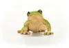 Wild Life Europäischer Laubfrosch Produktbild-Vorschau 4