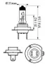 PHILIPS Hauptlampe H7, Sockel PX26d 12 V, 55 W, "LongLife Produktbild-Vorschau 9