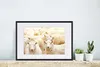 MuchoWow® Gerahmtes Poster Schafe - Wolle - Weiß 60x40 cm - Produktbild-Vorschau 4