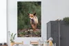 MuchoWow® Poster Fuchs - Wald - Regen 120x180 cm - Produktbild-Vorschau 2