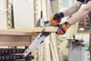 Líščí chvost Náhľad obrázku produktu 18