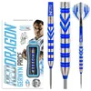 Gerwyn Price Blue Originals 24g Produktbild-Vorschau 19
