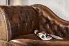 riess-ambiente Chesterfield Récamière 170cm antik braun mit Produktbild-Vorschau 4