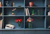 LEGO Botanicals Mini-Orchidee - Bauset für Erwachsene - Produktbild-Vorschau 14