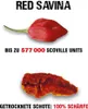 Scovillas Red Savina Schoten, getrocknet, 20g Produktbild-Vorschau 2