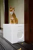An orange cat sits on top of a white styrofoam cat house on a wooden deck. Anteprima dell’immagine prodotto