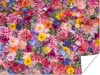 MuchoWow® Poster Blumen - Farben - Collage 120x90 cm - Produktbild-Vorschau 1