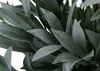 Künstlicher Olivenbaum MCW-Q88, Dekopflanze Kunstbaum Produktbild-Vorschau 4