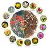 Schmetterlingswiese Samen für eine bunte Blumenwiese - Produktbild-Vorschau 8