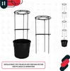 KOTARBAU® Set di 2 piante di pomodoro Fioriera ⌀ 39 cm con Anteprima dell’immagine prodotto 5
