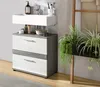 Blake meuble sous lavabo 2 tiroirs blanc brillant, gris. Voir les images du produit 6