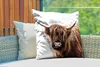 MuchoWow® Outdoor Kissen - Schottisches Hochlandrind - Produktbild-Vorschau 3