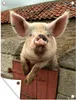 MuchoWow® Produktbild-Vorschau 1