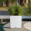 LECHUZA-Pot de fleurs CUBE Cottage 50 Marron sable | Pot de Voir les images du produit 13