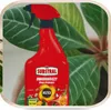 Insektenspray Polysect - 750 ml - gegen Schädlinge - Produktbild-Vorschau 13