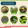 Lucky Reptile - Jungle Bedding - 10 Liter Produktbild-Vorschau 3
