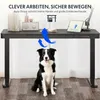 A black standing desk with a dog sitting underneath it, with blue arrows indicating airflow. Books, a radio, and a tablet are on the desk. Náhled obrázku produktu