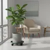 2er Set Kunststoff Pflanzenroller Rund Ø 33 cm Dunkelgrün Produktbild-Vorschau 3