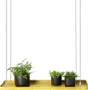 Esschert Design PY115, 580 mm, 150 mm, 21 mm, 1 Stück(e) Produktbild-Vorschau 3