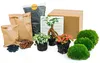 Green Your Bottle – Komplettset für deinen Flaschengarten – Produktbild-Vorschau 1
