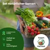 Green Harvest Gemüsesamen Set, 20 Sorten, 20 Beutel, Produktbild-Vorschau 5