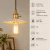 ZMH Deckenleuchte Schwarz 1 Flammig Deckenlampe Vintage Produktbild-Vorschau 14