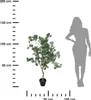 Plante artificielle d'eucalyptus, 127 cm Voir les images du produit 5