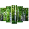 5-teiliges leinwandbild birke waldgrün 100x70 cm Feeby grün Produktbild-Vorschau 2