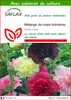 SAFLAX  - Mélange de roses trémières - 100 graines - Avec Voir les images du produit 1