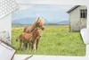 MuchoWow® Schreibtischunterlage Pferde - Fohlen - Gebirge Produktbild-Vorschau 5