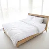 Perina 200x220 cm celoročná perina 2. voľba - teplá Náhľad obrázku produktu 3