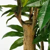 Mica Decorations Pachira Kunstplant - Kunstboom Watercacao Productafbeelding-voorbeeld 3